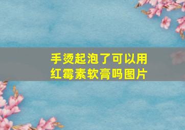 手烫起泡了可以用红霉素软膏吗图片