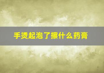 手烫起泡了擦什么药膏