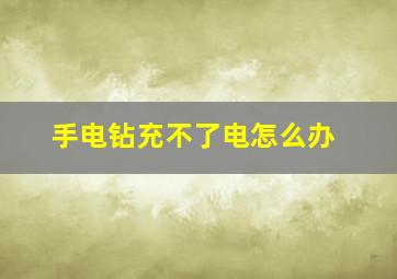 手电钻充不了电怎么办