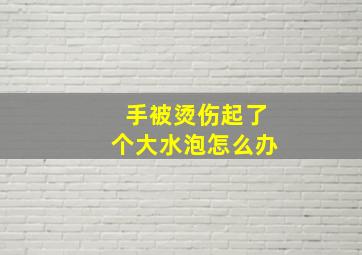 手被烫伤起了个大水泡怎么办