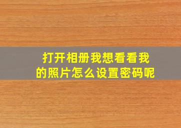 打开相册我想看看我的照片怎么设置密码呢