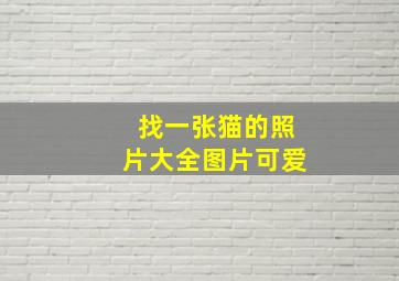 找一张猫的照片大全图片可爱