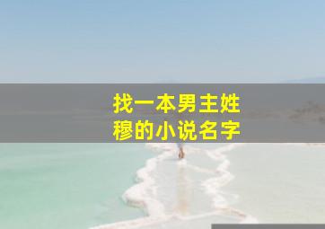 找一本男主姓穆的小说名字