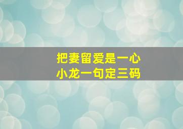 把妻留爱是一心小龙一句定三码