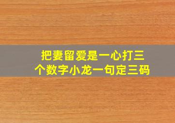 把妻留爱是一心打三个数字小龙一句定三码