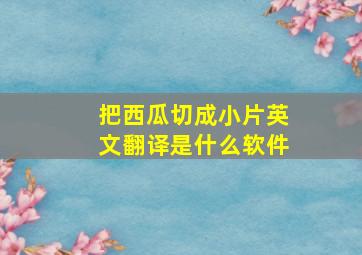 把西瓜切成小片英文翻译是什么软件