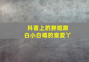 抖音上的胖妞跟白小白唱的宠爱丫