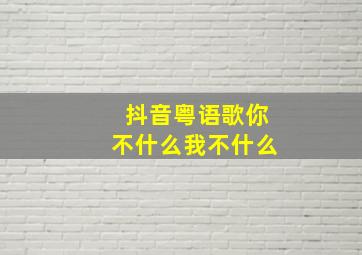 抖音粤语歌你不什么我不什么