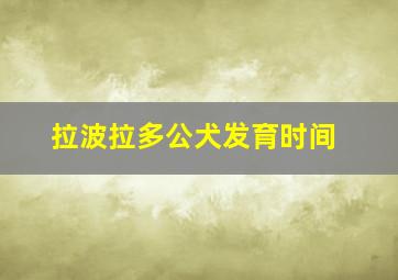 拉波拉多公犬发育时间