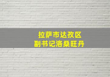 拉萨市达孜区副书记洛桑旺丹