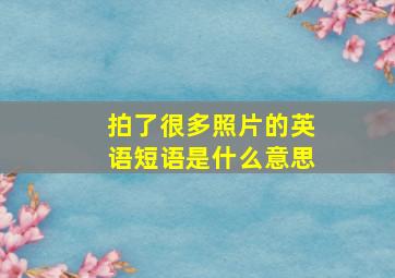 拍了很多照片的英语短语是什么意思