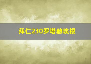 拜仁230罗塔赫埃根