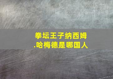 拳坛王子纳西姆.哈梅德是哪国人