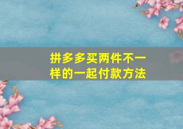 拼多多买两件不一样的一起付款方法