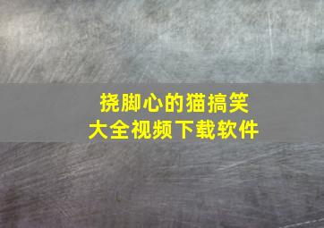 挠脚心的猫搞笑大全视频下载软件