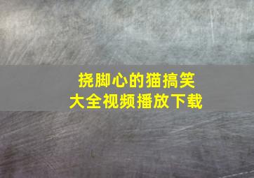 挠脚心的猫搞笑大全视频播放下载