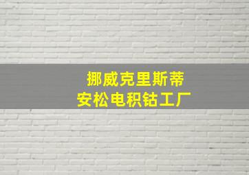 挪威克里斯蒂安松电积钴工厂