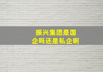 振兴集团是国企吗还是私企啊