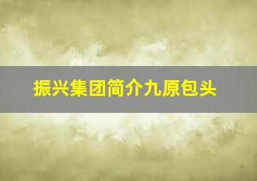 振兴集团简介九原包头