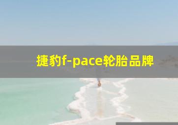 捷豹f-pace轮胎品牌