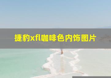 捷豹xfl咖啡色内饰图片