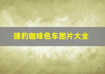 捷豹咖啡色车图片大全