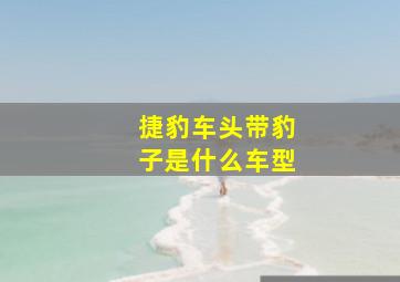 捷豹车头带豹子是什么车型