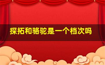 探拓和骆驼是一个档次吗