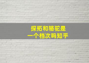 探拓和骆驼是一个档次吗知乎