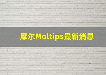 摩尔Moltips最新消息