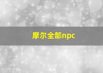 摩尔全部npc