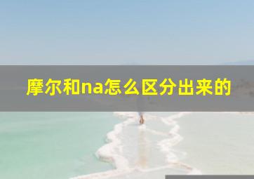 摩尔和na怎么区分出来的