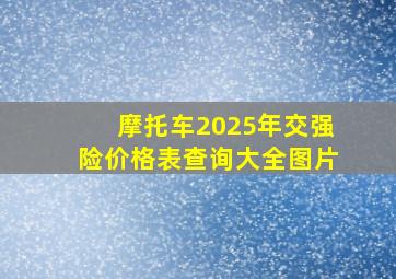 摩托车2025年交强险价格表查询大全图片