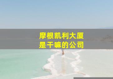 摩根凯利大厦是干嘛的公司