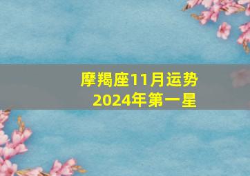 摩羯座11月运势2024年第一星