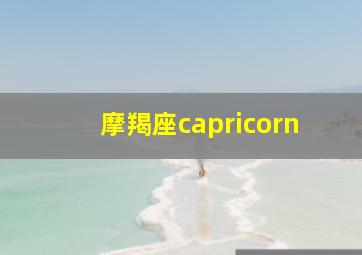 摩羯座capricorn