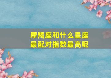 摩羯座和什么星座最配对指数最高呢