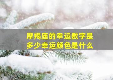 摩羯座的幸运数字是多少幸运颜色是什么