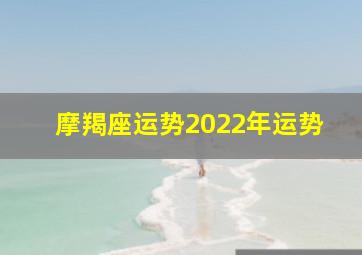 摩羯座运势2022年运势