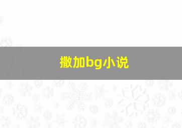 撒加bg小说