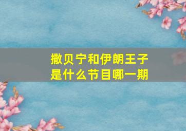 撒贝宁和伊朗王子是什么节目哪一期