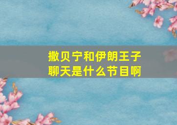 撒贝宁和伊朗王子聊天是什么节目啊