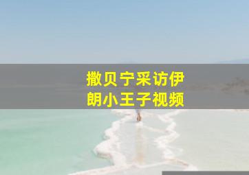 撒贝宁采访伊朗小王子视频