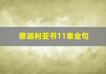 撒迦利亚书11章金句