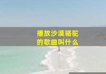 播放沙漠骆驼的歌曲叫什么