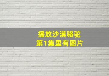 播放沙漠骆驼第1集里有图片