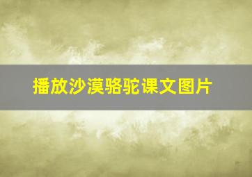 播放沙漠骆驼课文图片