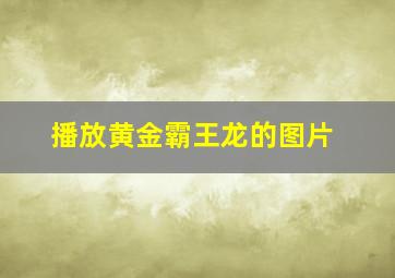 播放黄金霸王龙的图片