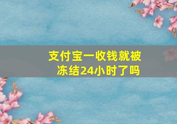 支付宝一收钱就被冻结24小时了吗