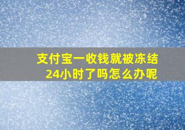 支付宝一收钱就被冻结24小时了吗怎么办呢